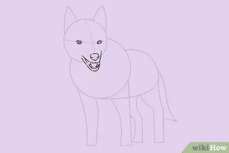 Image intitulée Draw a Wolf Step 14