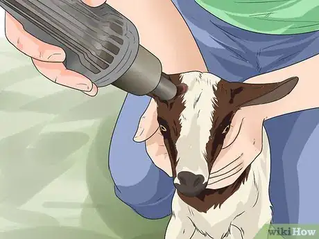 Image intitulée Start a Goat Farm Step 11