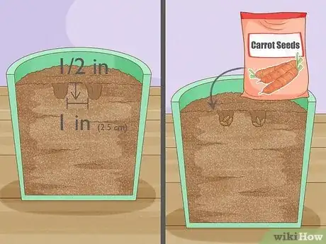 Image intitulée Grow Carrots in Pots Step 7