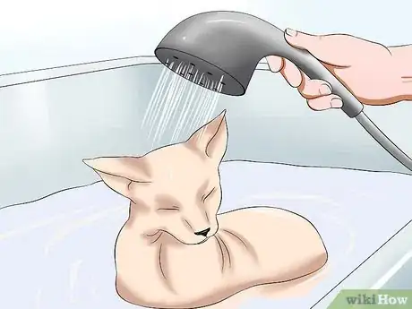 Image intitulée Bathe a Sphynx Cat Step 13