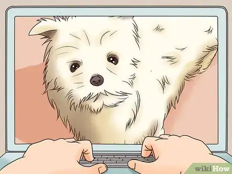 Image intitulée Know if Your Male Dog Is Ready to Breed Step 6