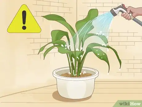 Image intitulée Save an Overwatered Plant Step 6