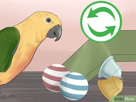 Image intitulée Entertain a Conure Step 5