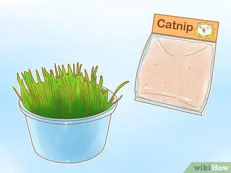 Image intitulée Prevent Cats from Eating Plants Step 14