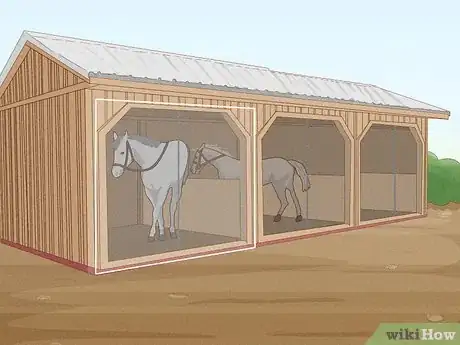 Image intitulée Get Rid of Horse Flies Step 12