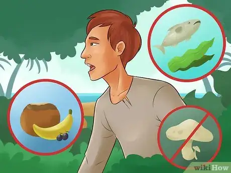 Image intitulée Survive on a Deserted Island With Nothing Step 11