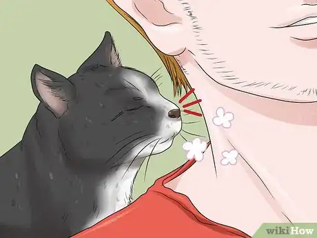 Image intitulée Calm Your Cat with Aromatherapy Step 11