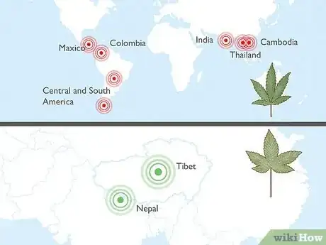 Image intitulée Tell the Difference Between Indica and Sativa Step 10