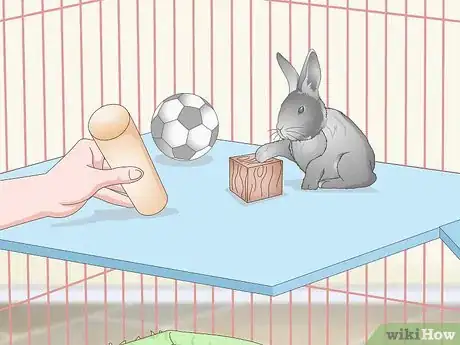 Image intitulée Prepare a Rabbit Cage Step 13