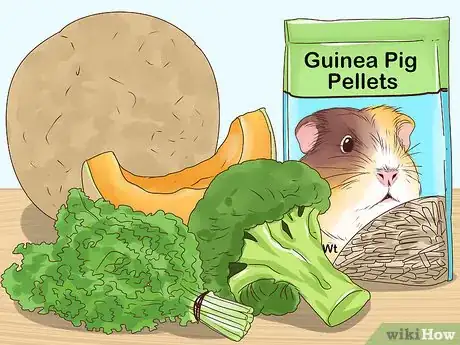 Image intitulée Tame Your Guinea Pig Step 9