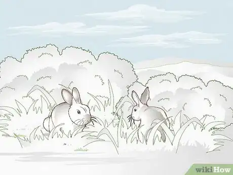Image intitulée Hunt Rabbit Step 13