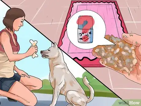 Image intitulée Rid Your Pet of Fleas Step 19
