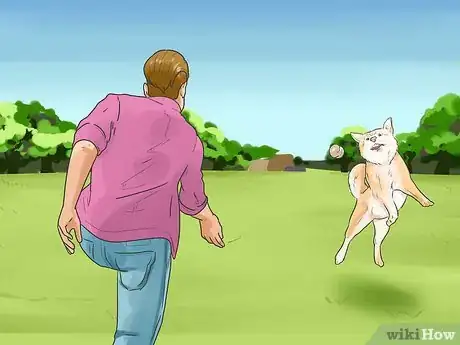 Image intitulée Take Care of an Alaskan Husky Step 11