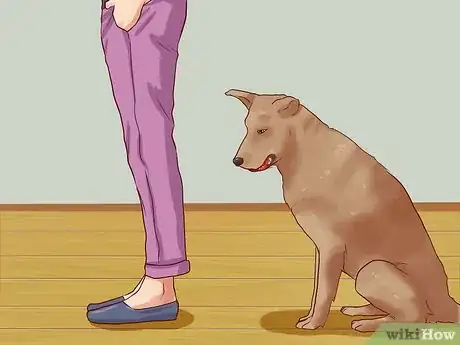 Image intitulée Teach Your Dog Basic Commands Step 18