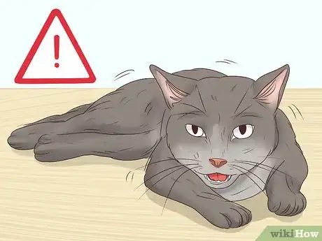 Image intitulée Help a Cat Cough Up a Hairball Step 17