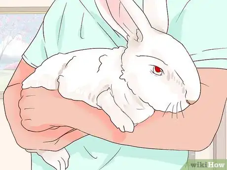 Image intitulée Deal with a Sick Rabbit Step 7
