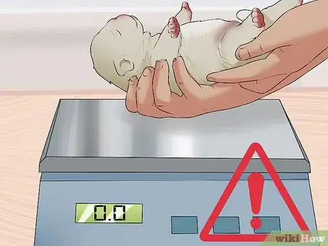 Image intitulée Save a Fading Newborn Puppy Step 1