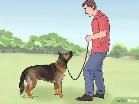 Image intitulée Determine if Your Dog Is Obese Step 4