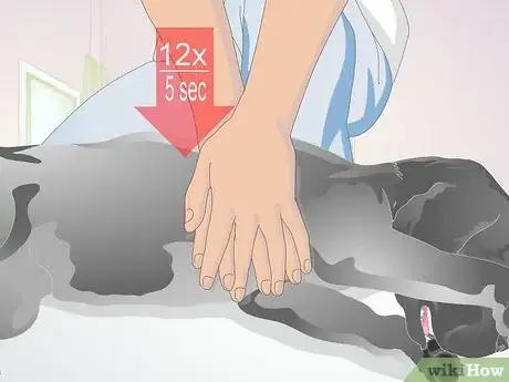 Image intitulée Perform CPR on a Dog Step 11