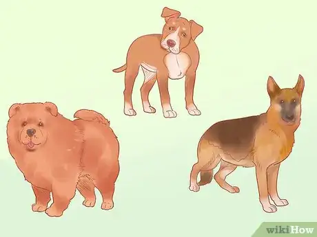 Image intitulée Choose a Dog Step 2
