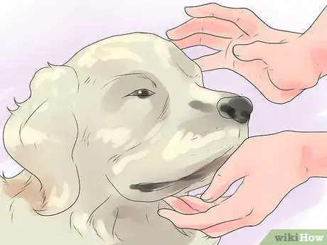 Image intitulée Bond With Your Dog Step 11