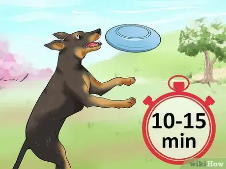 Image intitulée Teach a Dog to Track Step 3