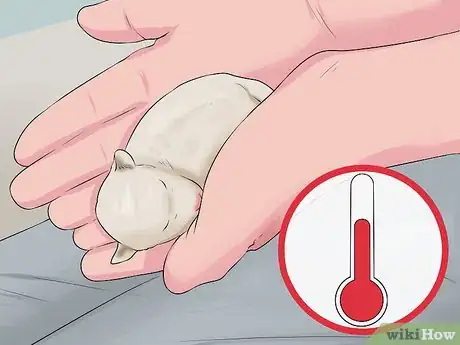 Image intitulée Save a Fading Newborn Puppy Step 9