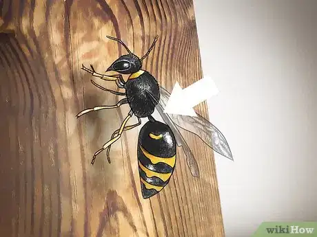 Image intitulée Identify Wasps Step 4
