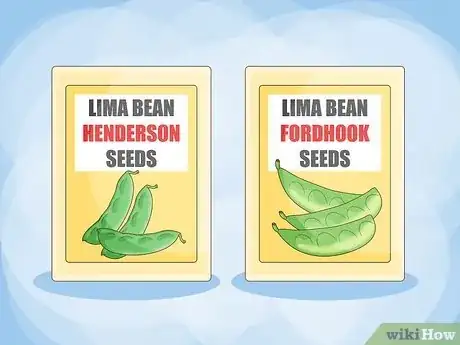 Image intitulée Grow Lima Beans Step 1