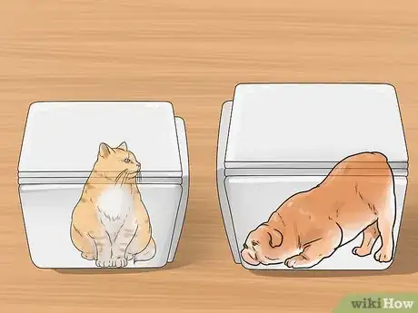 Image intitulée Make Your Dog Like Your Cat Step 12