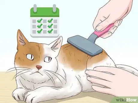 Image intitulée Help a Cat Cough Up a Hairball Step 20