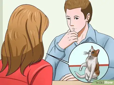 Image intitulée Identify if Your Cat Has Had a Stroke Step 13