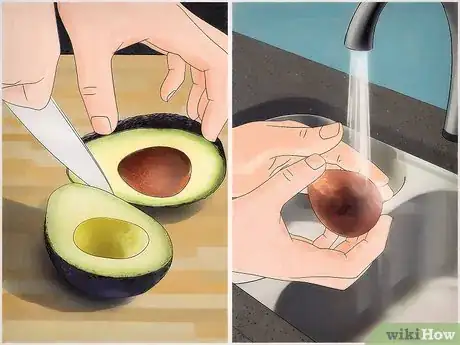 Image intitulée Grow an Avocado Tree Step 1