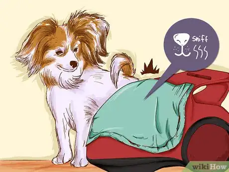 Image intitulée Teach Your Pet Not to be Scared of the Vacuum Cleaner Step 4