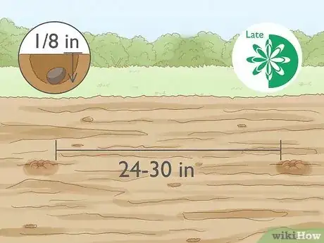 Image intitulée Grow Sage Step 3