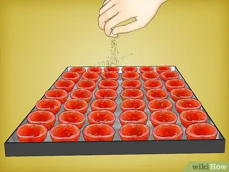 Image intitulée Preserve Tomatoes Step 27