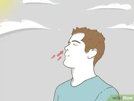 Image intitulée Make Yourself Sneeze Step 8