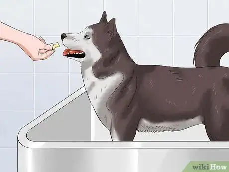 Image intitulée Bathe a Dog and Keep It Calm Step 9