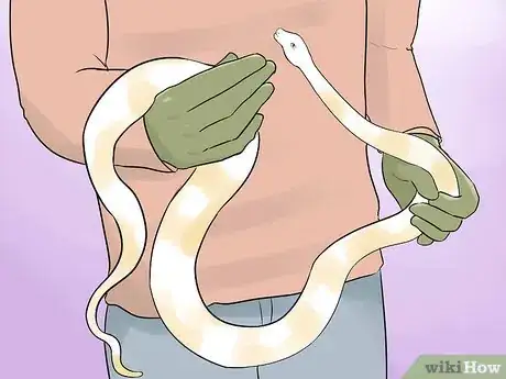 Image intitulée Hold a Snake Step 9