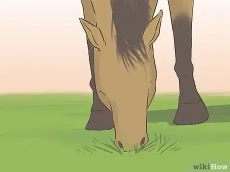 Image intitulée Get a Horse Fit Step 17