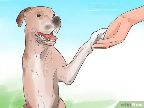 Image intitulée Teach Your Dog to Shake Hands Step 11