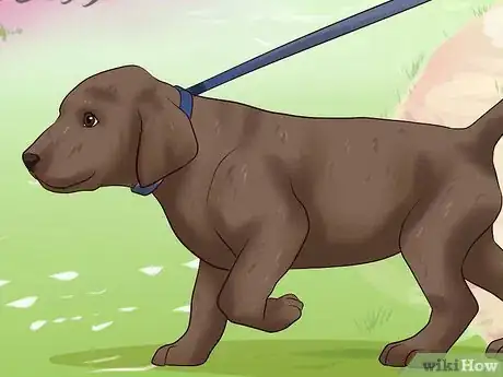 Image intitulée Get Your Puppy to Stop Biting Step 15