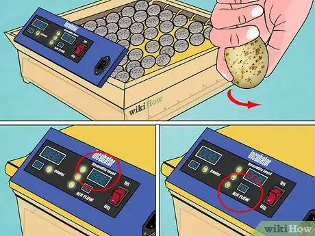 Image intitulée Find and Take Care of Wild Bird Eggs Step 6