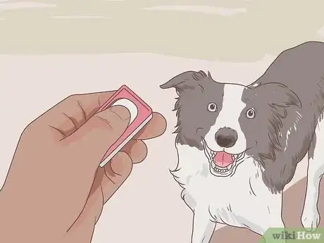 Image intitulée Test a Dog's Intelligence Step 14