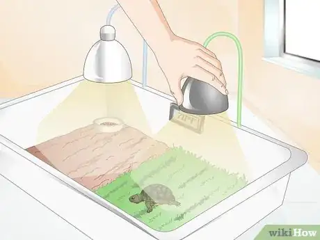 Image intitulée Feed Your Turtle if It is Refusing to Eat Step 2