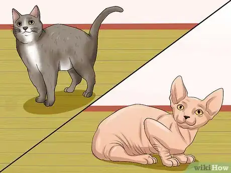 Image intitulée Get a Cat to Stop Meowing Step 4