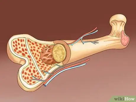 Image intitulée Take Iron Supplements Step 6