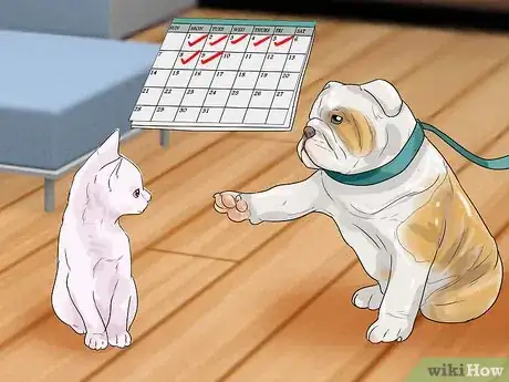 Image intitulée Make Your Dog Like Your Cat Step 15