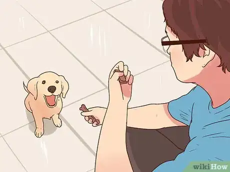 Image intitulée Buy a Puppy Step 20