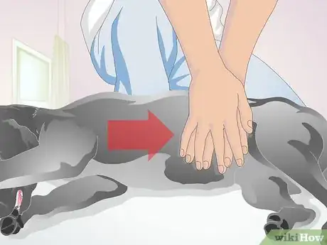 Image intitulée Perform CPR on a Dog Step 13